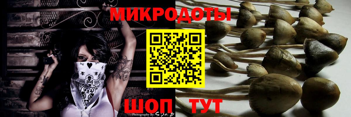 Псилоцибиновые грибы мицелий Ахтубинск